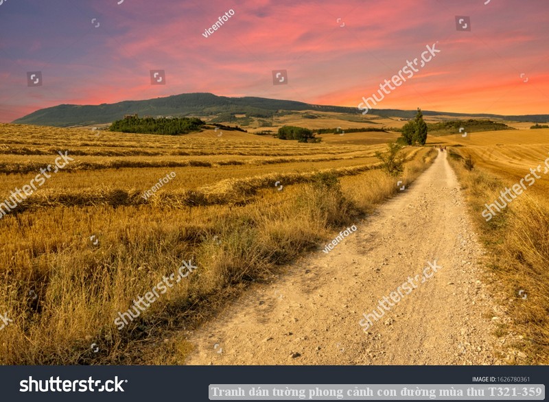 Tranh dán tường phong cảnh con đường mùa thu T321-359